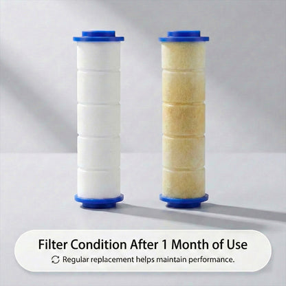 PureFLO Filtered Shower Head